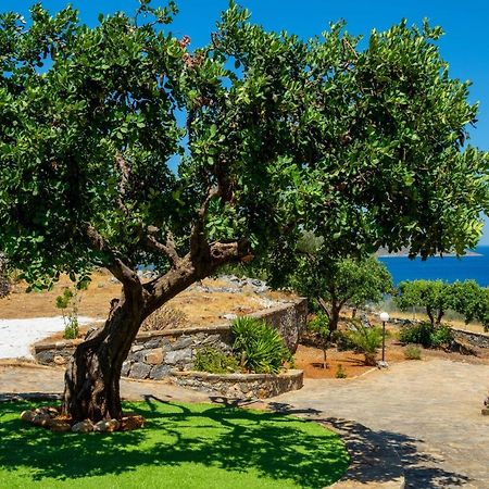 Elounda Anemelia Apartments エクステリア 写真